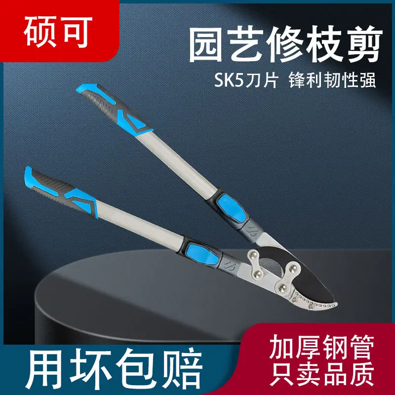 Fruit tree pruning, cutting thick branches, vigorously cutting branches, special scissors for branch extension, strong scissors