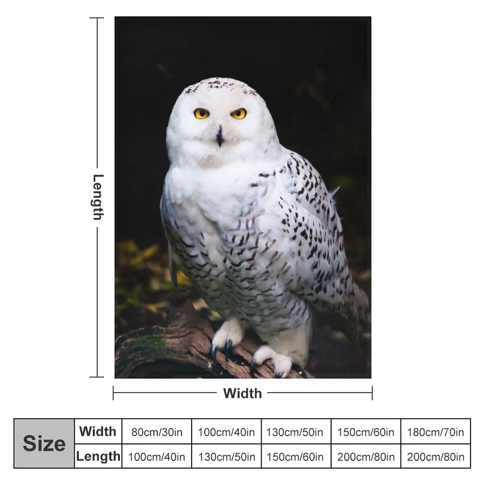 Majestic winter snowy owl Throw Blanket Blankets For Baby Decorative Blankets Single Blanket