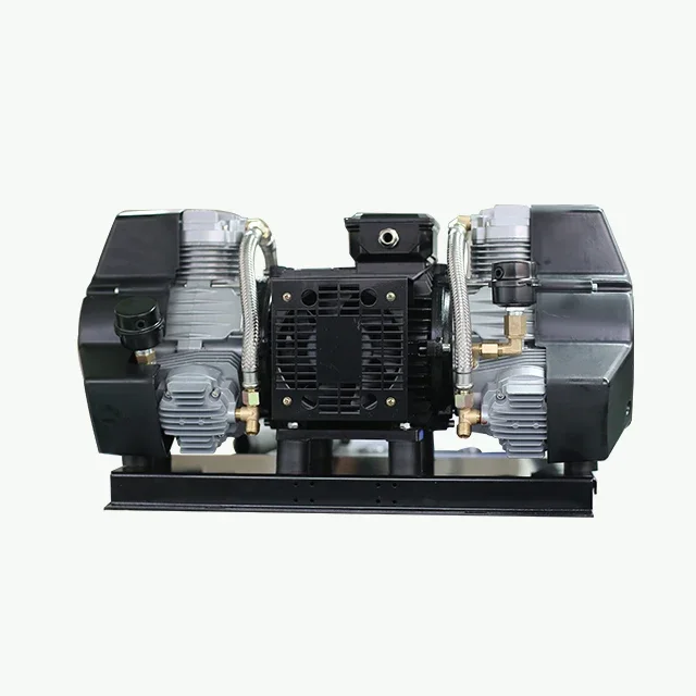 

High Quality Ac Dc Power 550w 750w den tal Oilfree Air Compressor Silent Pump Head