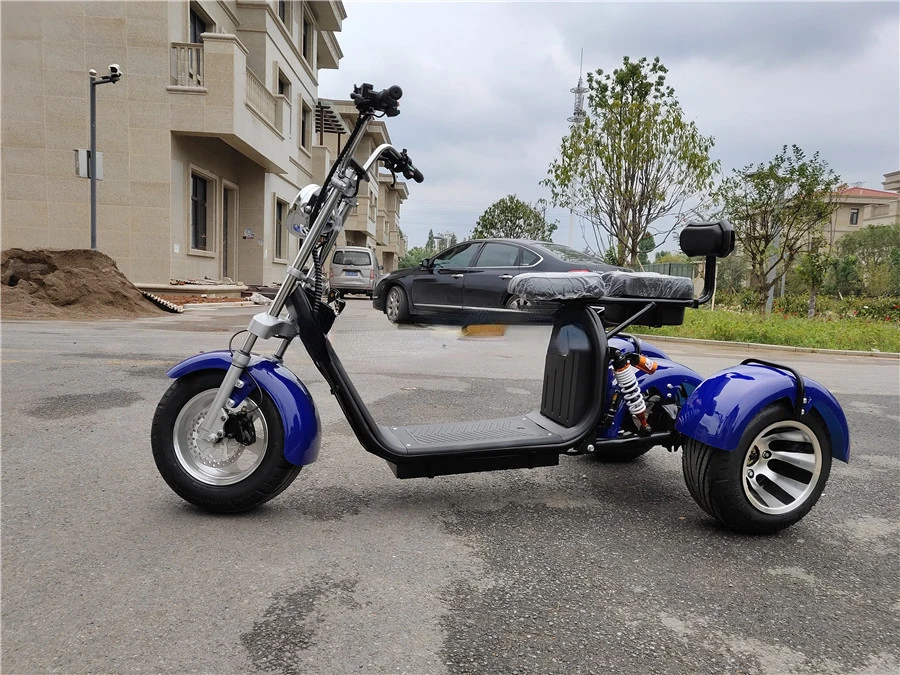 3 Wheel Moto 60 12A Tricycle Three Wheeler  2000w Electric Motorcycle Electric Trike Scooter Adult With Pedal