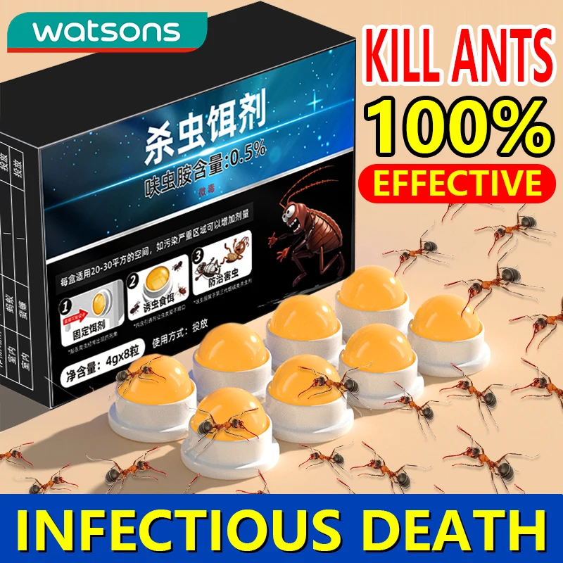 Ant medicine for household use, non-toxic indoor termite killing, specialized ant bait, insecticide, insect eggs, dual killing