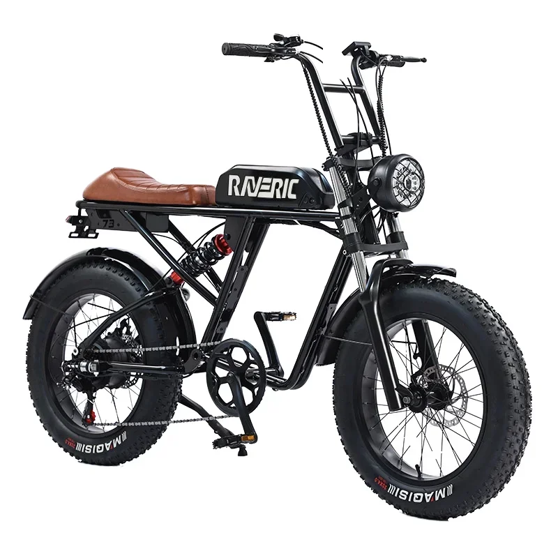 Electric Bike Fat Tire E-bike Ebike Electric Bicycle Mountain Bike Full Suspension Motorcycle Electric Scooter Fatbike