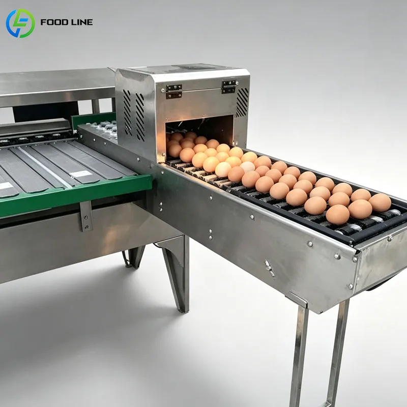 Automatic Chicken Egg Grading Machine Commercial Egg Sorting System For Large Poultry Farm Customized
