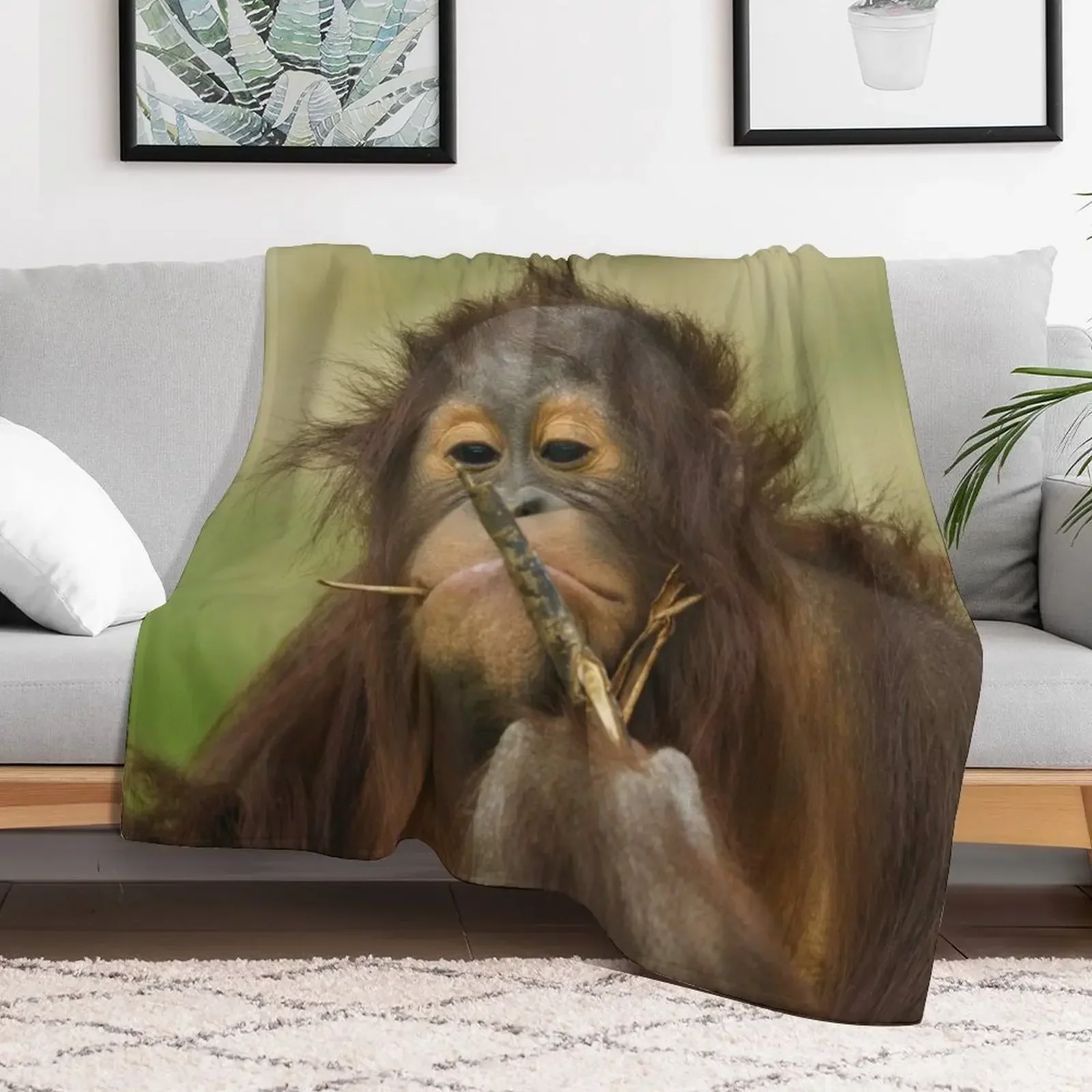 Funny Orangutan Baby Girl Throw Blanket Bed linens Decorative Throw Blankets