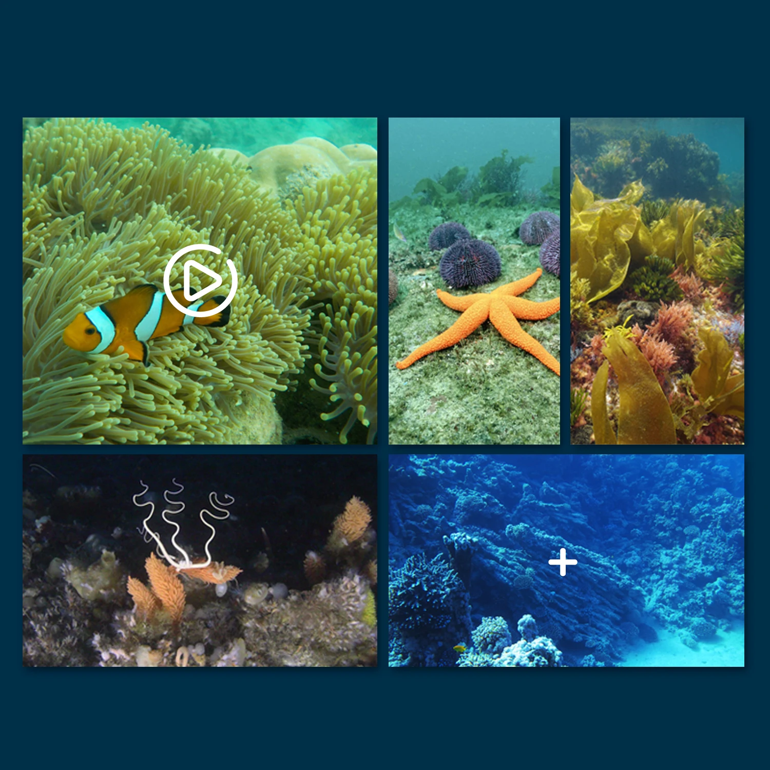 2025 nouveau Mini caméra sous-marine RC bateau WiFi télécommande Six axes Transmission en temps réel sous avec fonction Photo