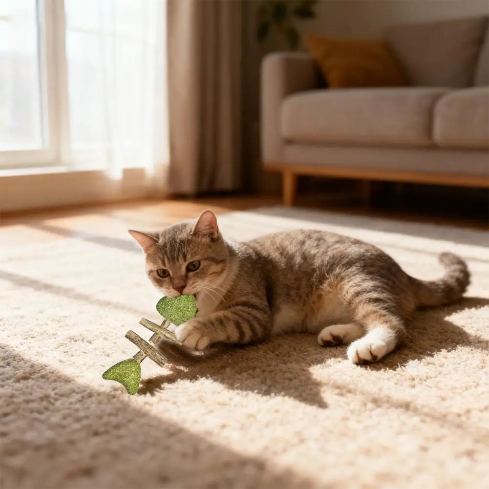 ألعاب مضغ القطط التفاعلية ألعاب الأسماك المشوية المولي سيلفرفين لعبة دعابة القط نظيفة الفم هريرة اللعب لعبة مستلزمات الحيوانات الأليفة الملحقات