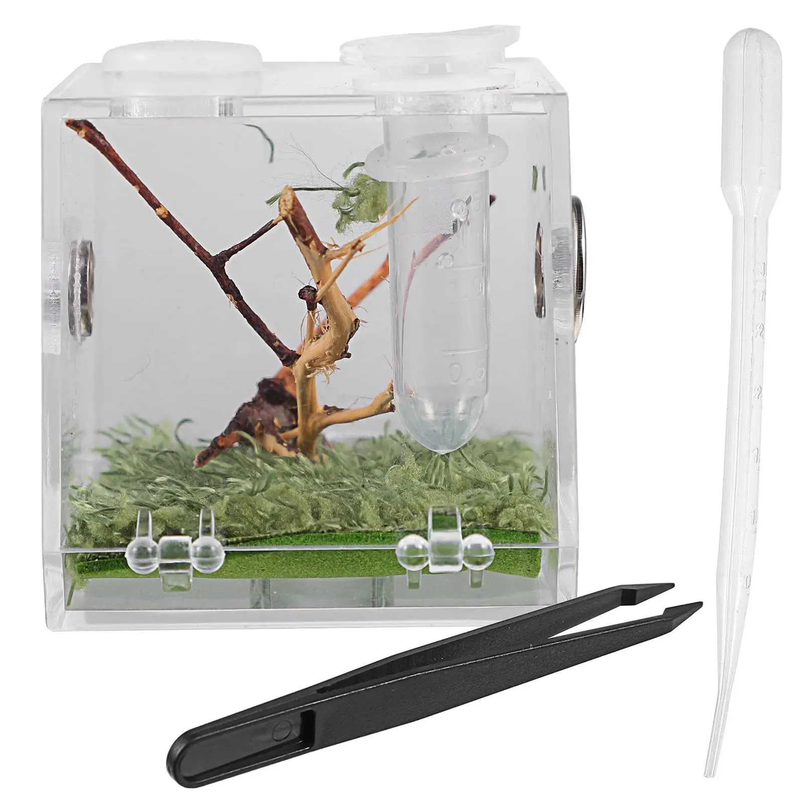 

Jumping Spider Breeding Box Acrylic Cage Pet Insect Reptile Habitat Enclosure Small Crawling Supply Tank Container