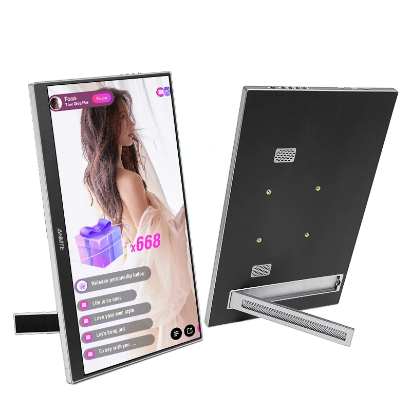 

Anmite 15.6 Inch Wireless Projection Monitor Portable Display for Laptop, Mac and Phone WiFi Projection