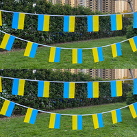 Aerlxemrbrae  5.5M 20pcs/set14cmx21cm  Ukraine  String Flag Ukraine Hanging Mini Flag  Window Flag