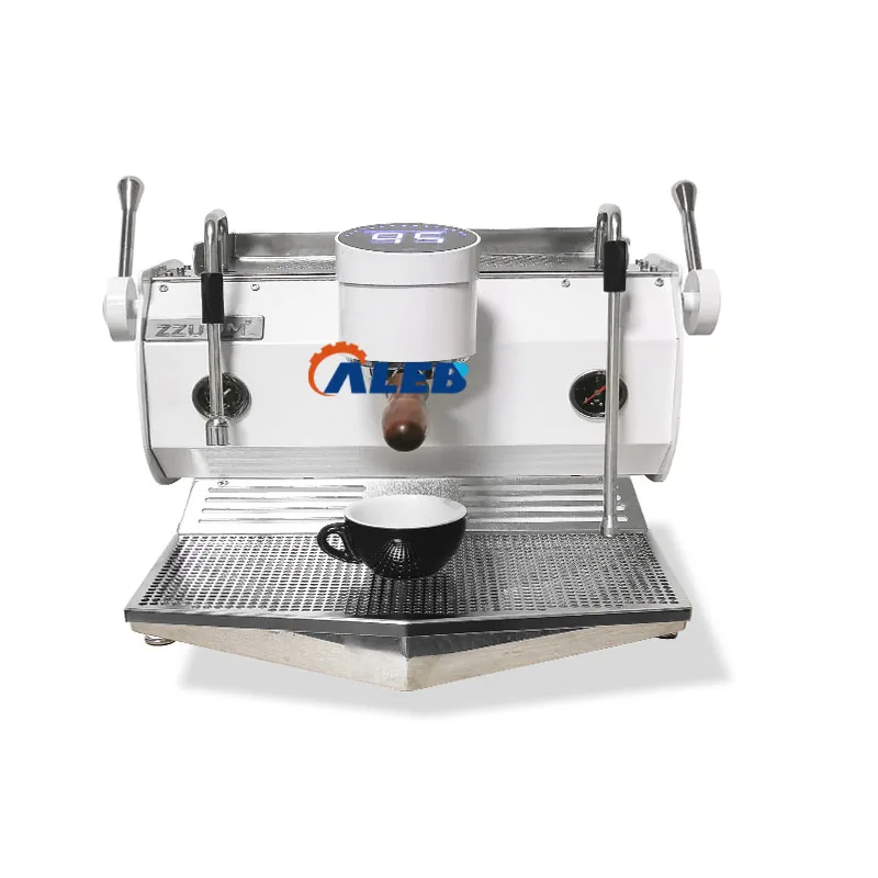 

2025Commercial Espresso Coffee Extractor Brewing Machine Coffee Brewing Boiling Machine