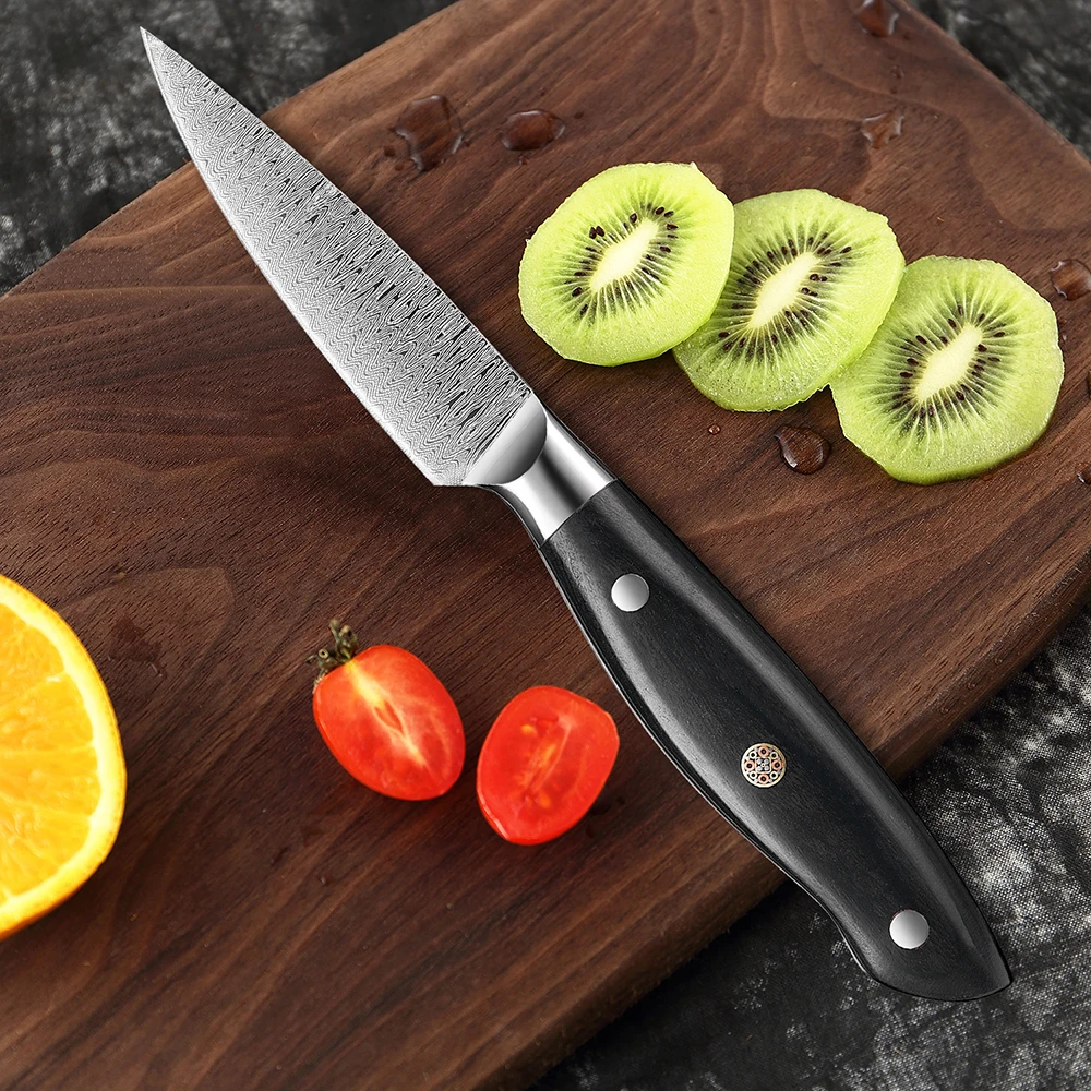 Paring Knife 3.5 Inch Stainless Steel Fruit Knife Hand Forged Japanese Peeling Knife Small Kitchen Knives Damascus Laser Pattern