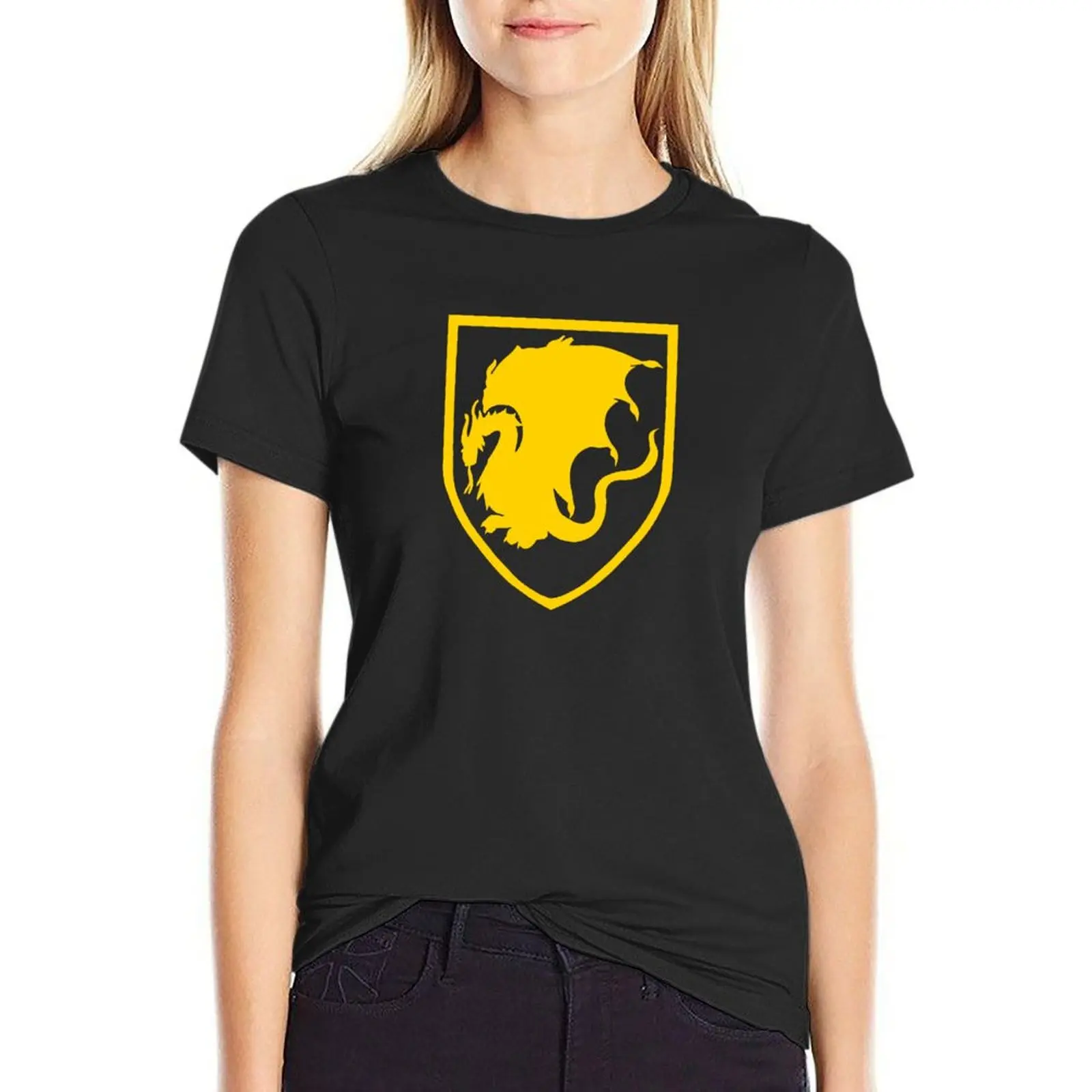 Pendragon crest T-Shirt graphics quick-drying lady clothes t-shirt dress for Women plus size