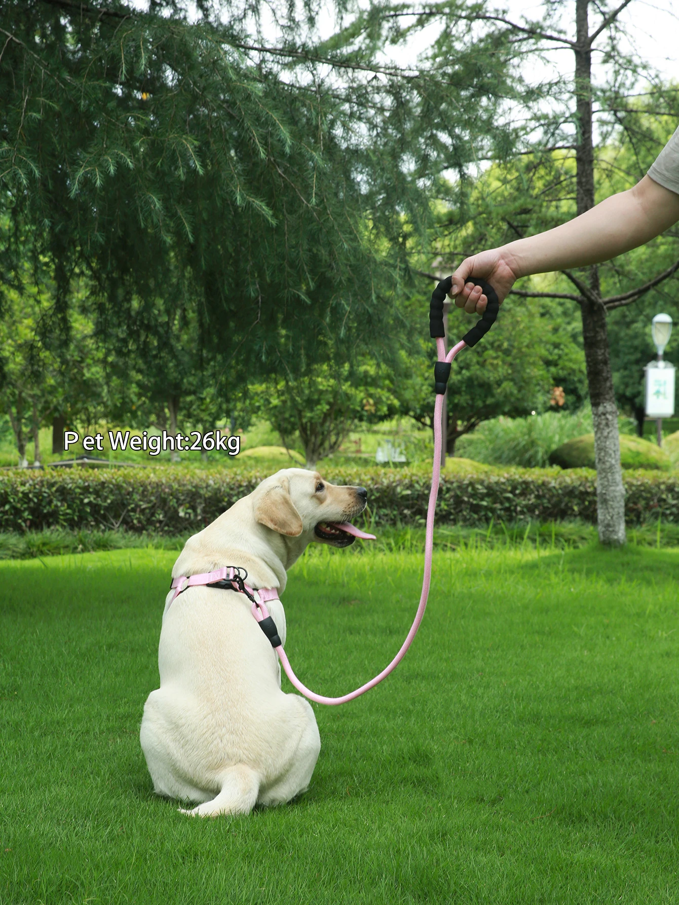 Pink  Leash for Cats and Dogs to Prevent Breaking Away Special Dog leash Chain Adjustable Pet Supplies