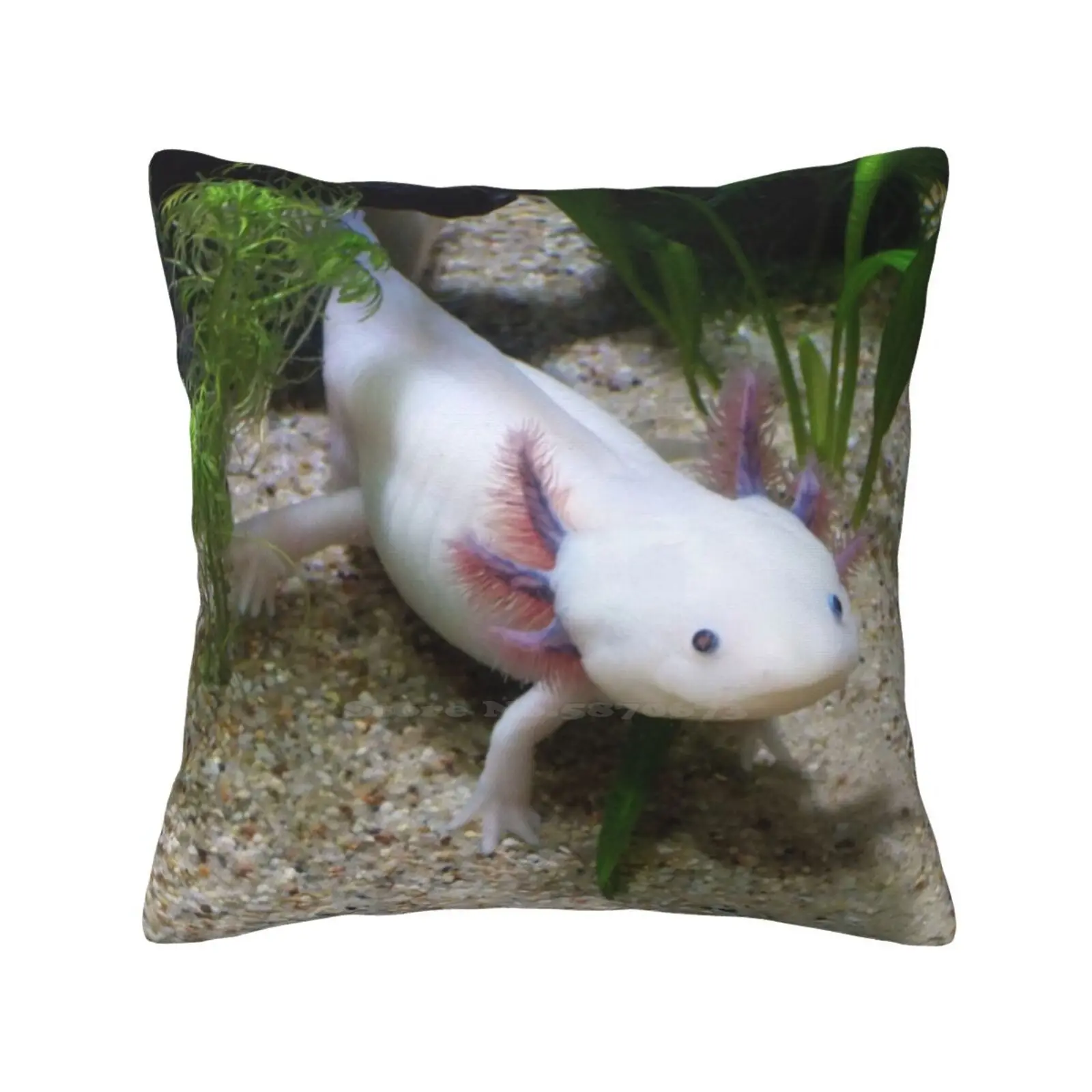 Axolotl Smiling Home Sofa Car Cushion Cover Pillowcase Funny Axolotl Smile Axolotl Obsessed Salamanders Axolotl Smiling Smile