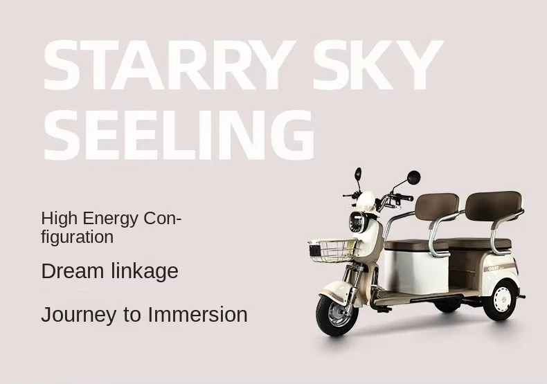 600W/800W/1000W electric tricycle double row open body electric scooter food bicycle other electric tricycle