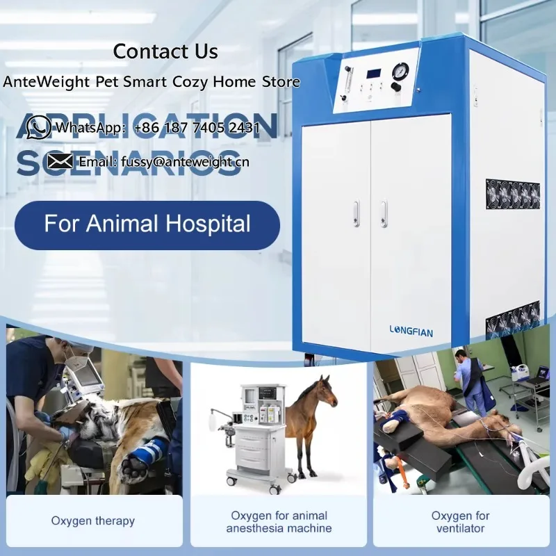 JAY-40-4.0 Veterinary Oxygen Therapy Medical O2 Generator High Pressure System for Pet Operation and Animal Surgery
