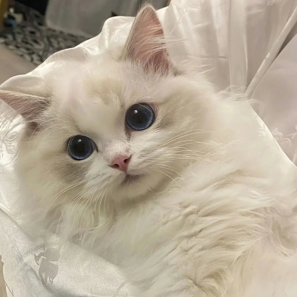 

Универсальные накладки на пороги/бамперы 2м/2.2м, сплиттеры, гоночные боковые крылья, накладки на бампер, боковые спойлеры для Kia PEGAS, аксессуары