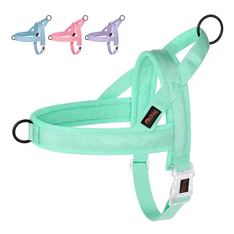 Harnais pour chien doux sans traction, en Nylon, Pitbull, pour chiots, gilet rembourré pour animaux de compagnie, réglable pour petit, moyen et grand chien, Chihuahua, carlin
