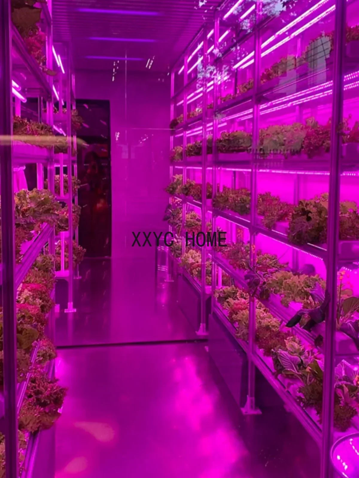 Soilless Cultivation Leaf Vegetable Fruit Multi-Layer Shelf for Plant