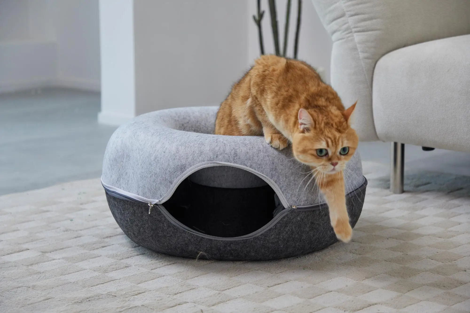 Cama de túnel hexagonal para gatos, cueva para gatos múltiples y grandes, resistente a los arañazos, lavable, desmontable, redonda, de fieltro