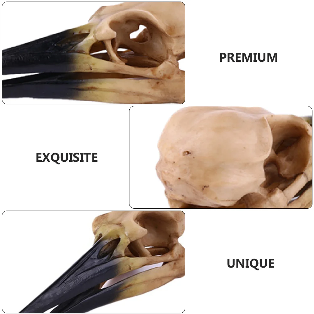 

1Pcs Resin Skull Shaped Adornment Exquisite Creative Desktop Ornament Halloween Decor Skull Shaped Adornment Decorative Artware