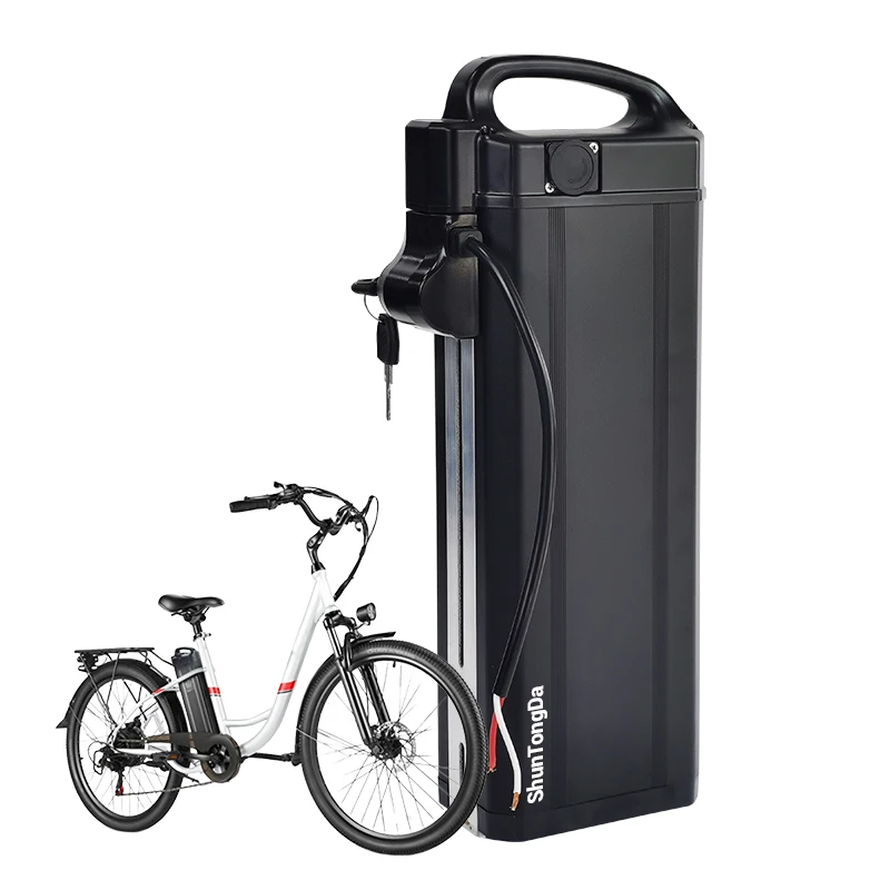 48V 25Ah Lithium Io…