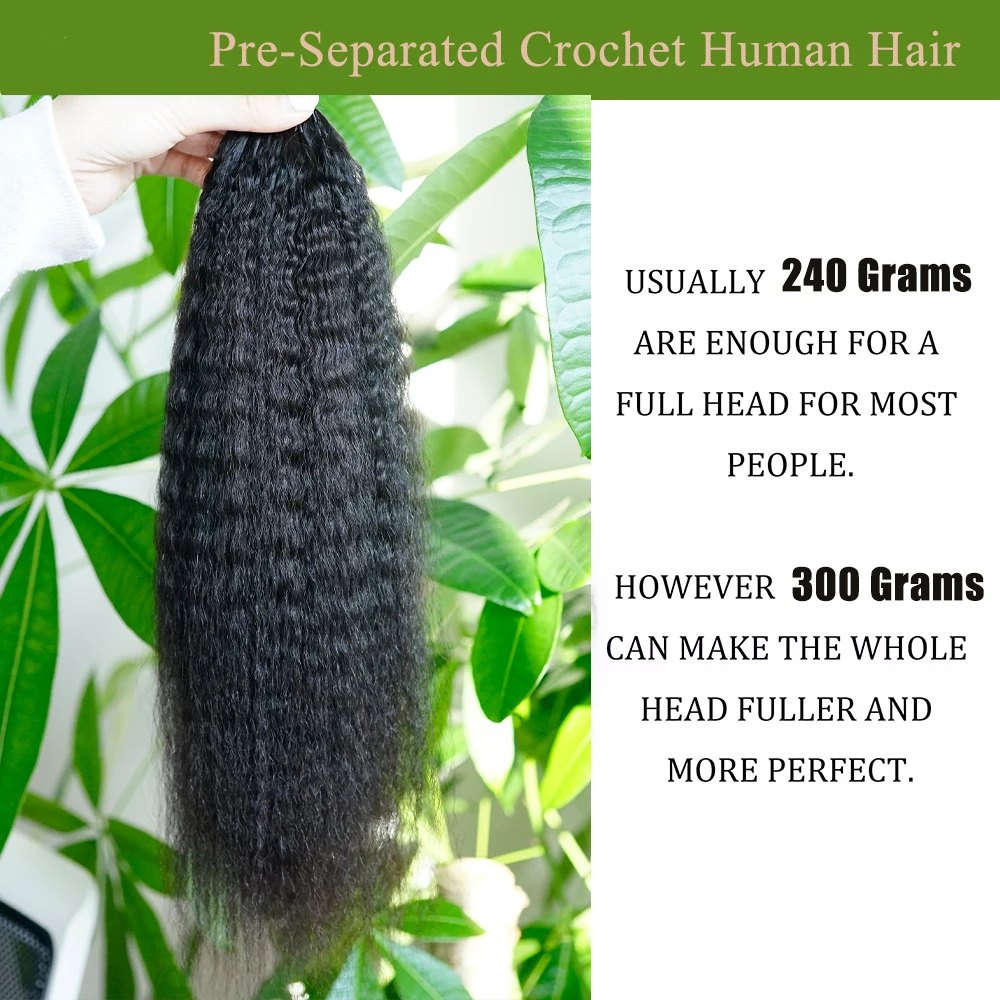 Ekstensi Rambut Kinky Straight Feather Crochet Braid Tanpa Simpul, Ekstensi Rambut Crochet Pre-Separated, Rambut Asli 100% Rambut Manusia