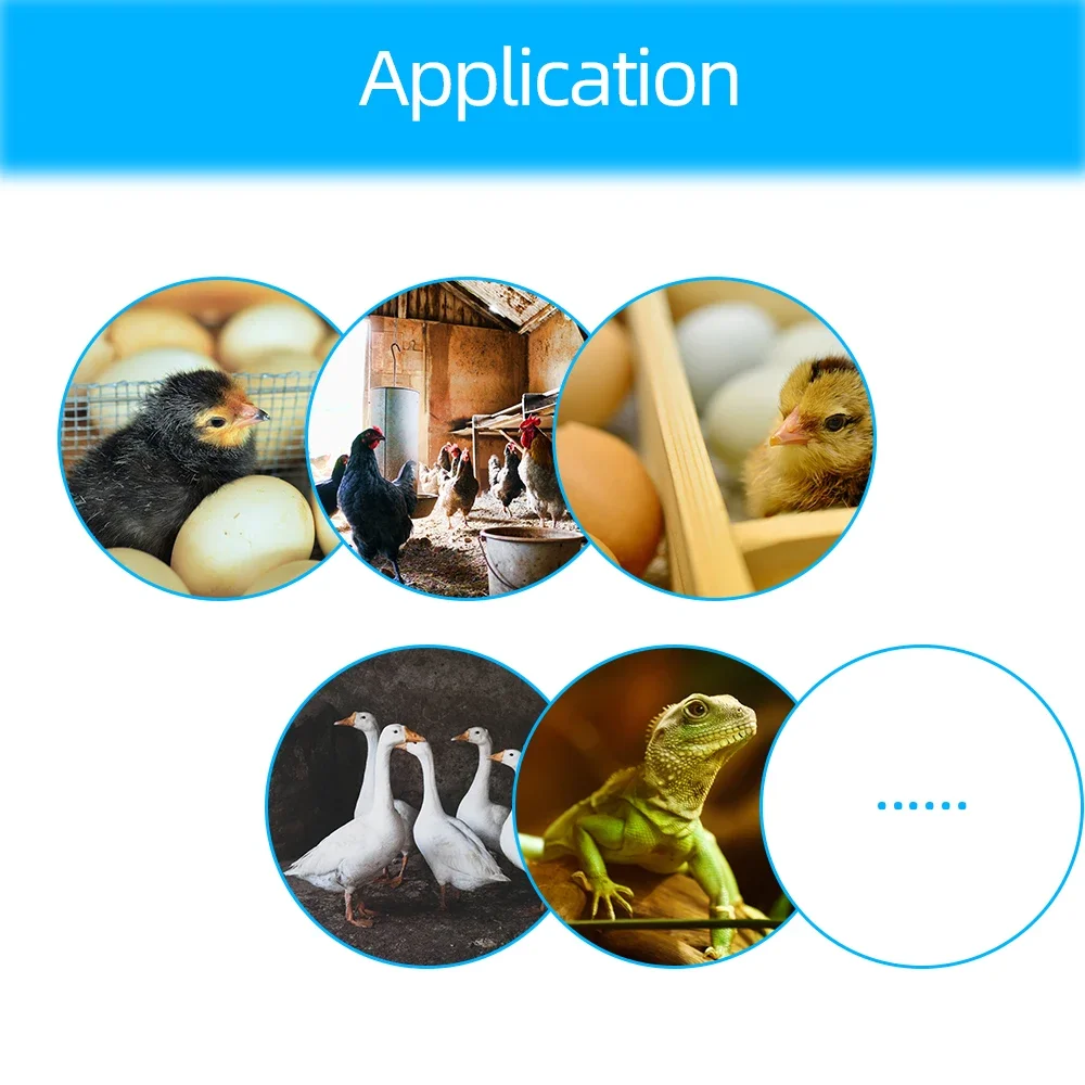 Digital Thermostat Regulator for Incubator Temperature Humidity Chicken Goose Duck Automatic Hatcher Controller Accessories