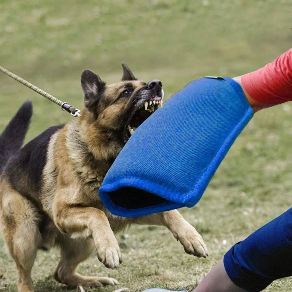 Pet Training Tools for Medium and Large Police Horse Dogs with Tear Resistant Cloth and Biting Arm Protective Covers