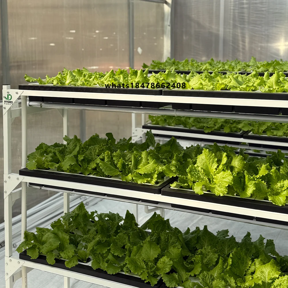 Automatic Indoor Hydroponic Growing System Vertical Farming Leafy Vegetable Planting Intelligent Vegetable Growing Cabinet
