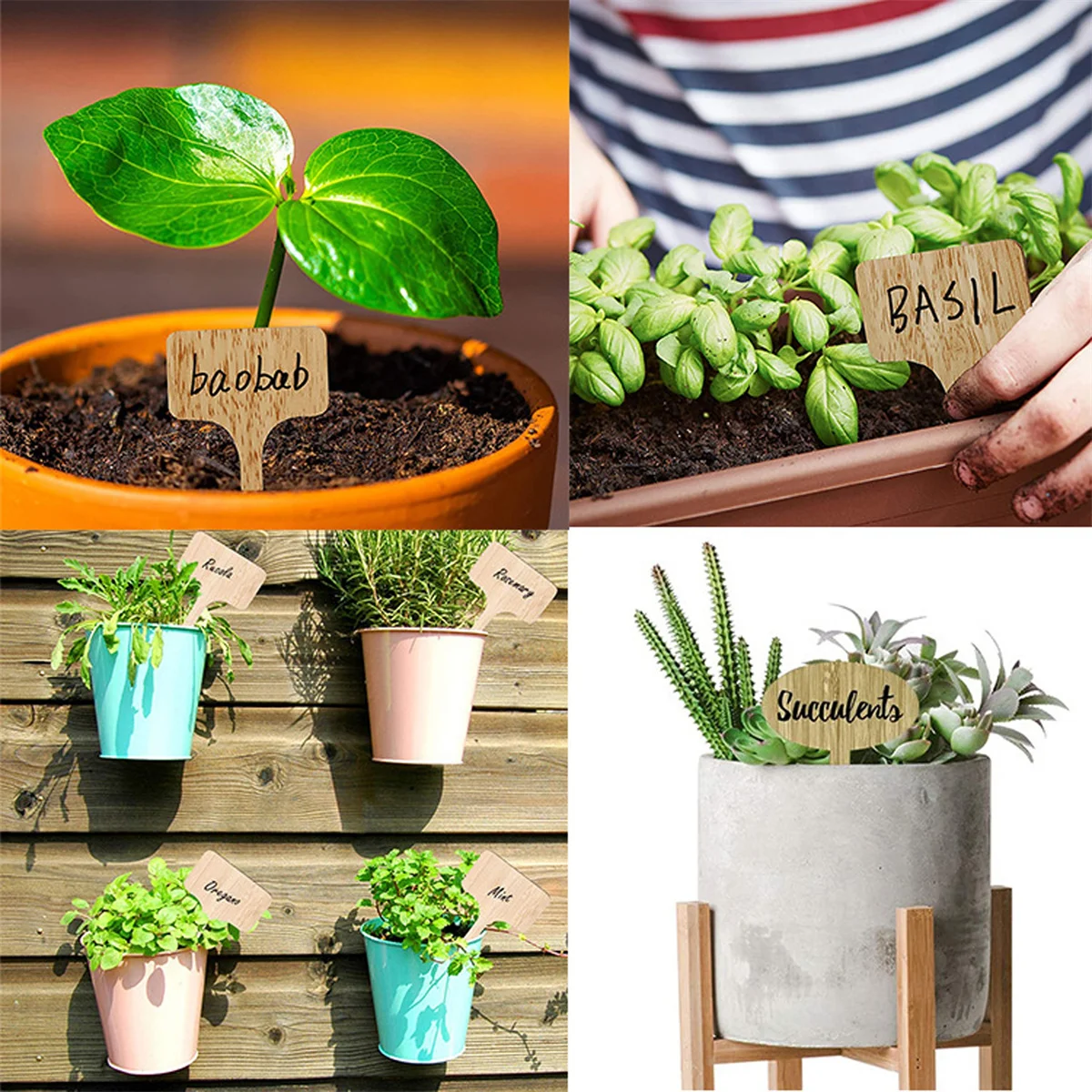 Plant Labels Wooden Plant Sign Tags Multi-Type Bamboo Garden Markers Bonsai Seed Potted Flower Vegetable Succulent Tool 5/50Pcs