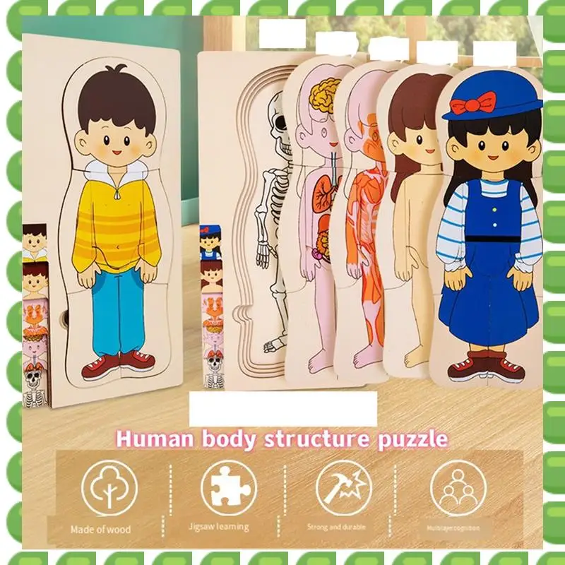 A04V Wooden Human Body Structure Puzzle Children's Multi-Layer Plane Puzzle Early Childhood Education Toys