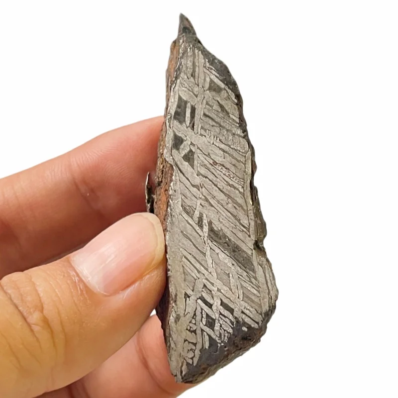 58.6g Rare Muonionalusta Meteorite Slice Museum Quality Cosmic Specimen TC-781