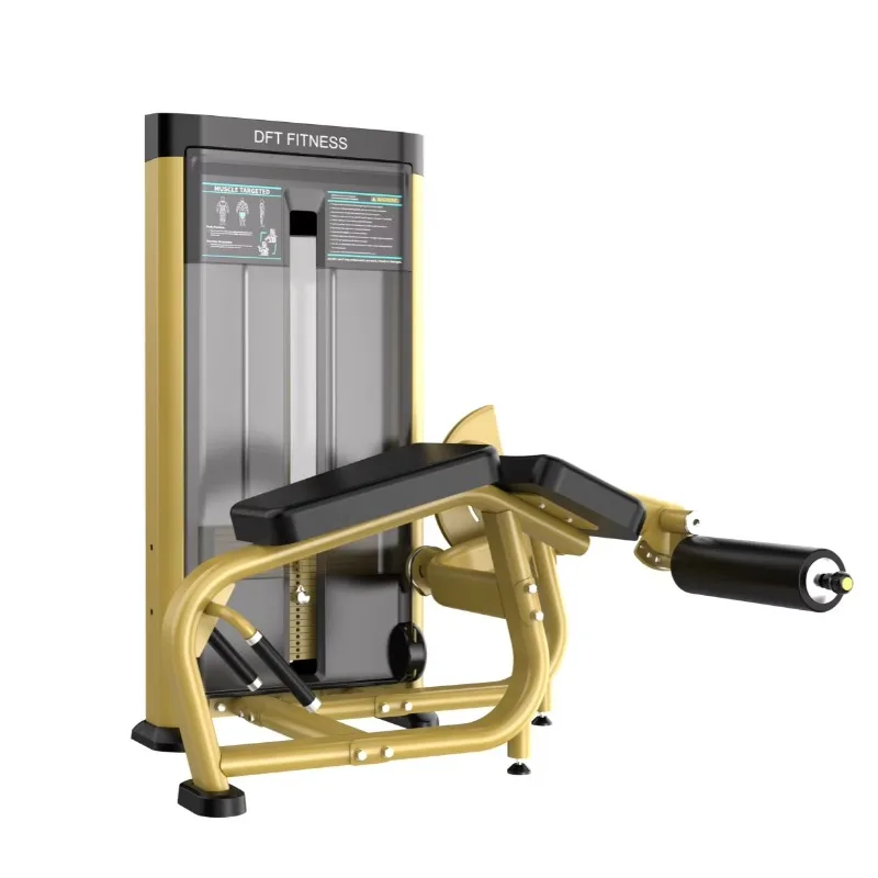 Sports and Entertainment Products High Quality New Design Commercial Fitness Equipment