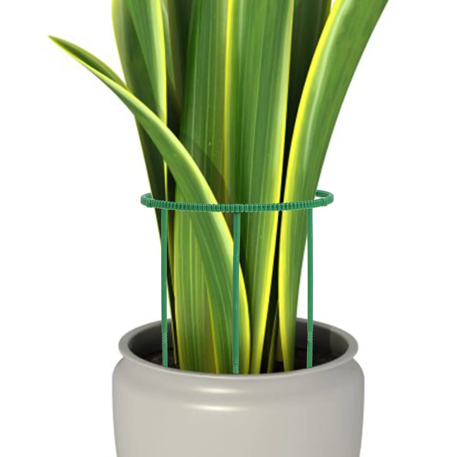 

16 Pcs Premium Plastic Flower Supports Orchid Climbing Racks Green Plant Stand Decorative Indoor Plant Holders