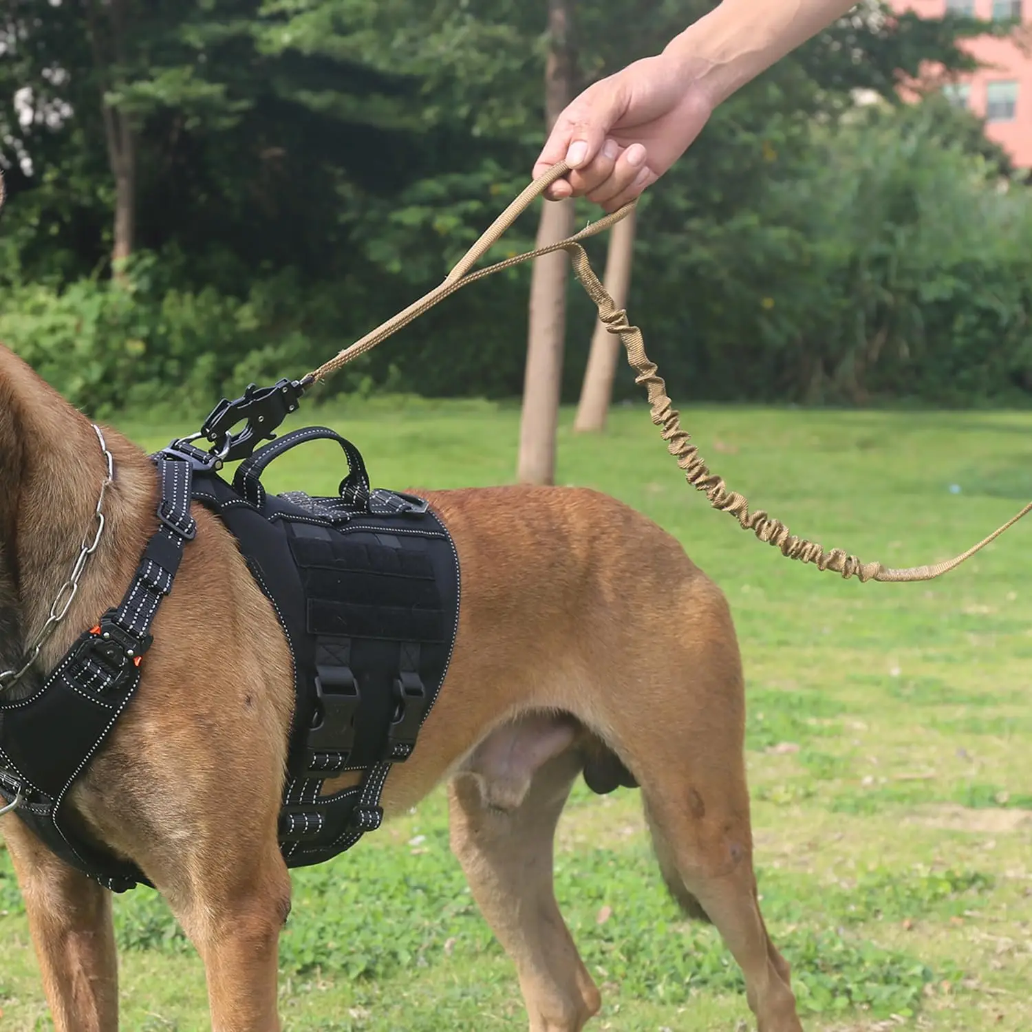 Tactical Dog Leash Quick-Release Metal Clasp Bungee Lead Training Walking Medium Large Dogs 1.5m, Customized