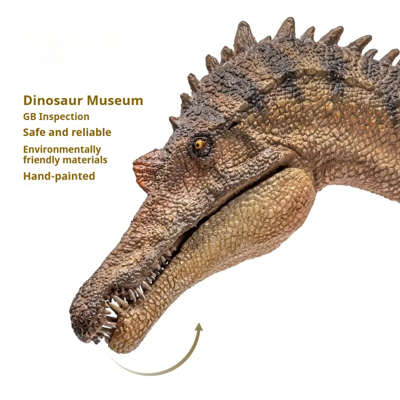 Op voorraad Echte Dinosaur King Spinosaurus 1:35 Schaal Science Art Model Action Figure Decoratief Ornament Speelgoedcollectie Cadeau