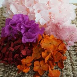 10g/pack Big Petals Macrophylla Hydrangea Preserved Hydrangea Office Decor Preserved Flowers Home Decoration Wedding Decoration