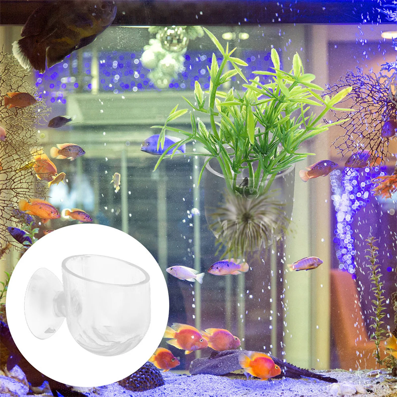 

6pcs Aquarium Plant Pots Acrylic Fish Tank Planter With Suction Cups For Freshwater Tanks Aquatic Plant Holder Decor Aquarium