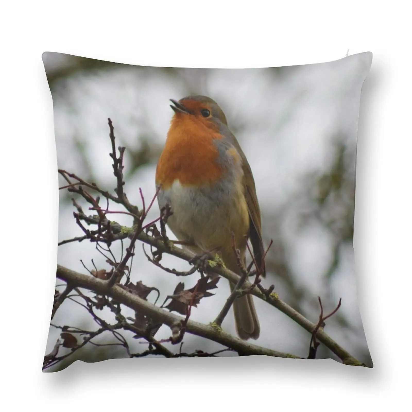 

Robin Throw Pillow ornamental pillows Decorative Cushions Cushion Cover For Sofa pillow