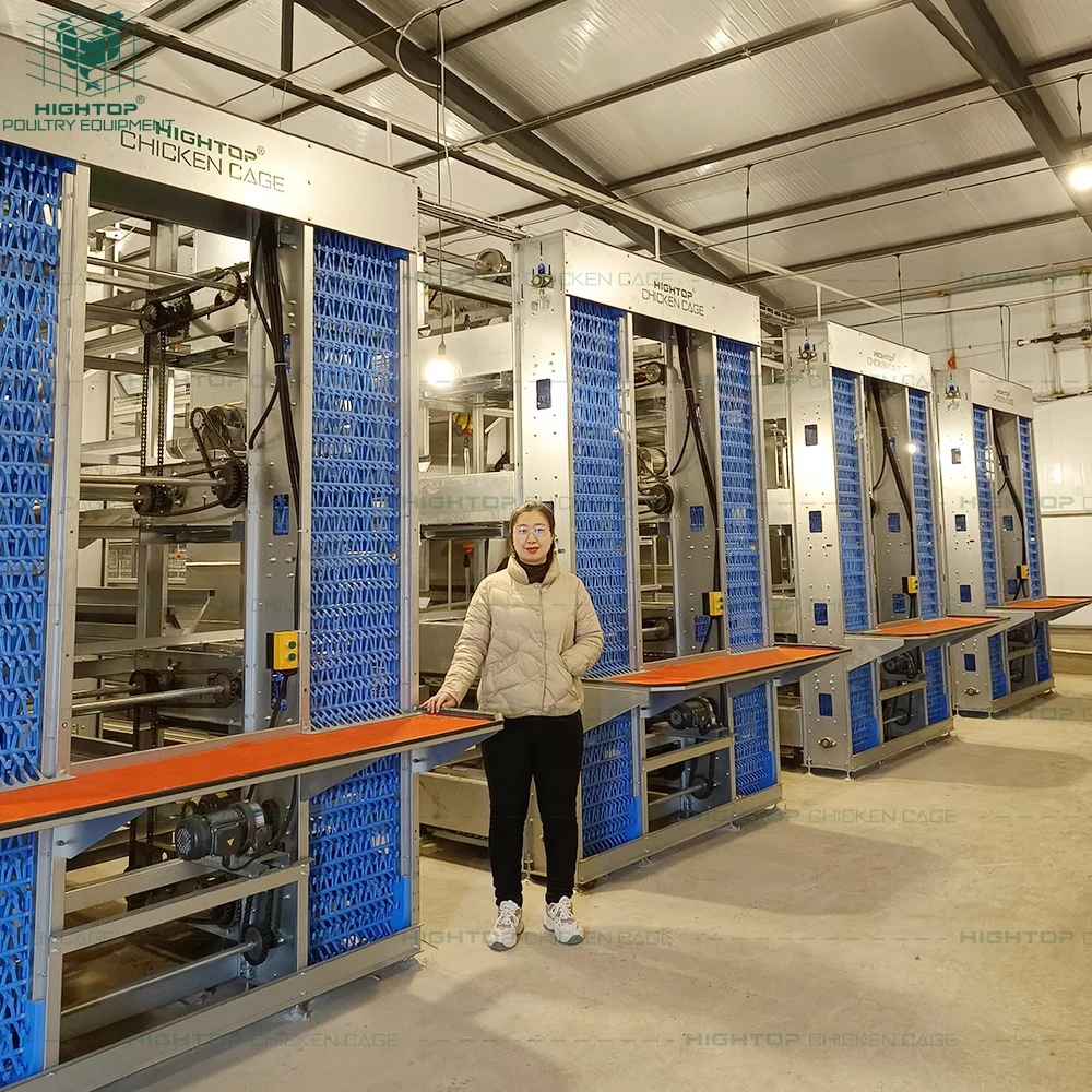 

Современные автоматические клетки для кур-несушек H-типа, от 3 до 8 ярусов, для коммерческих птицефабрик