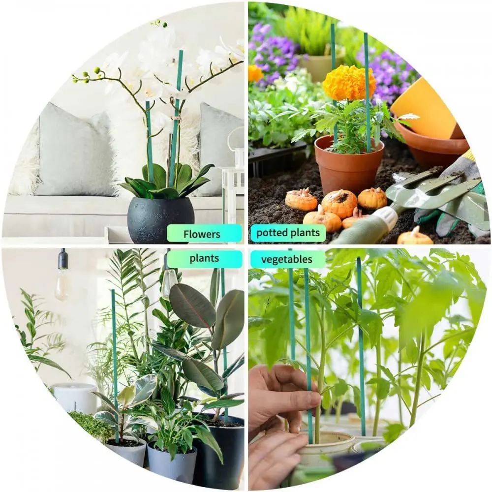 Palos verdes de bambú para 20 piezas, soporte para plantas, palitos para flores, varilla para orquídeas, palitos para plantas para apoyar plantas