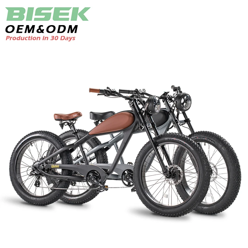 Clrak 350W 500W 750W Electric Mountain Bike Vintage Retro Fat Tire 48V Disc Brake 36V Lithium Battery Powered E Bike