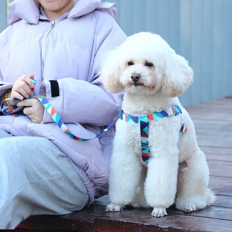 Dog Leash Teddy Medium Large Dog Anti-Slip Vest Style Printing Chest Strap Dog Collar And Lead Rope Home Supplies