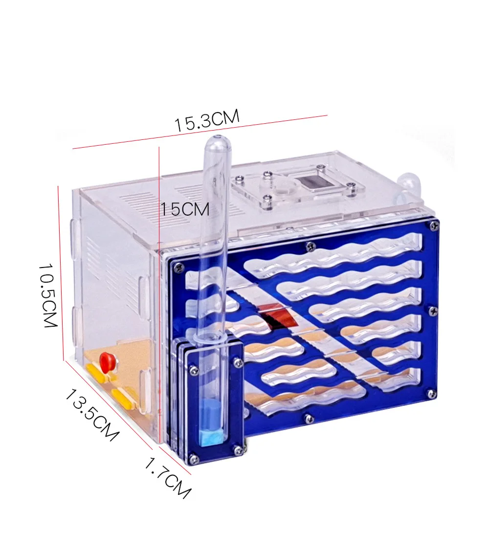 Acrylic Ant Nest Wi… - image