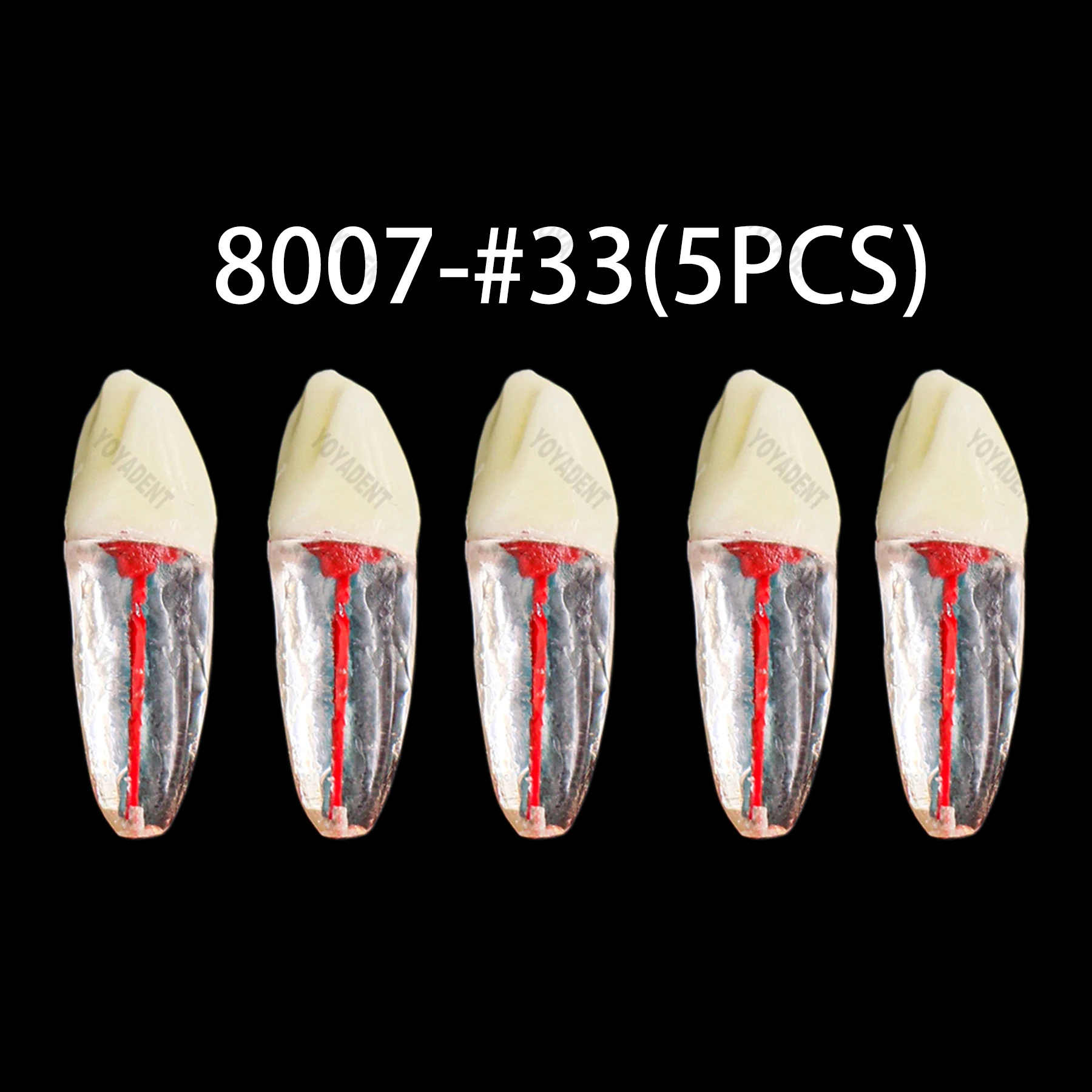 Dental Resin Endo Root Canal Model M8007 RCT Practice for Endodontic Study Training orthodontic teeth odonatological 5PCS