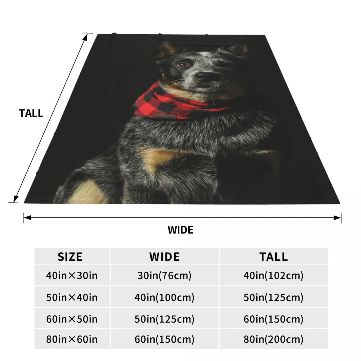 Australian Cattle Dog Blanket Soft Warm Flannel Throw Blanket Bedspread for Bed Travel Home Sofa