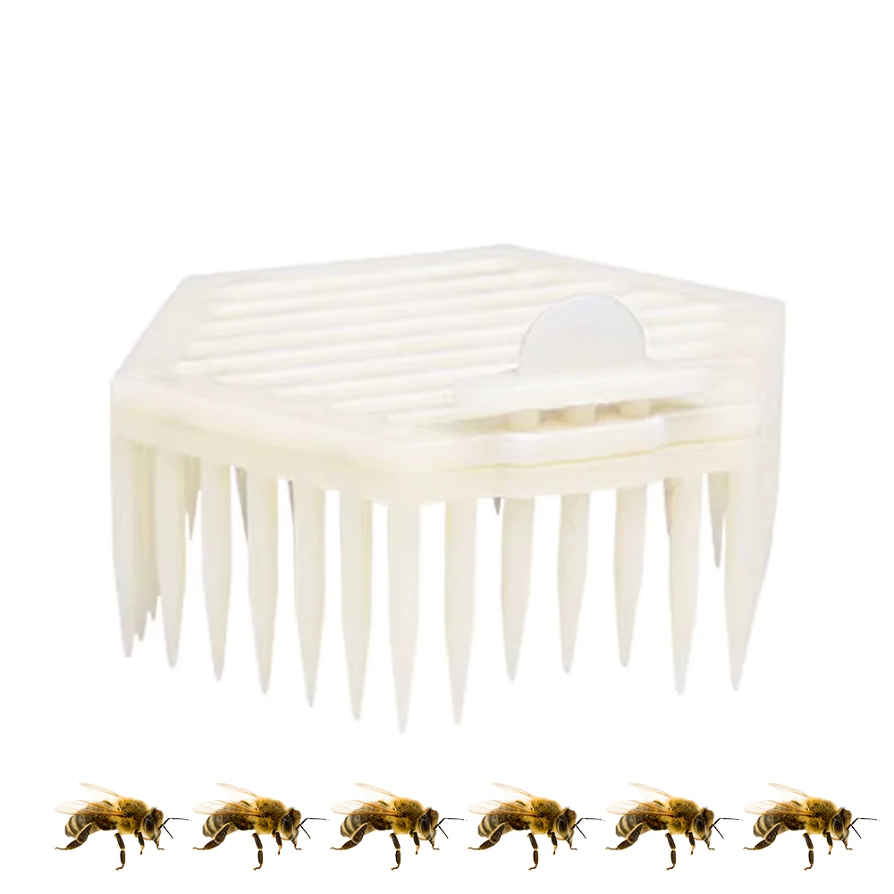 

Apis Mellifera Queen Introduction Cages Colony Accept New Royalty Plastic Press In Comb Two Layers Hexagonal Large Space 12PCS