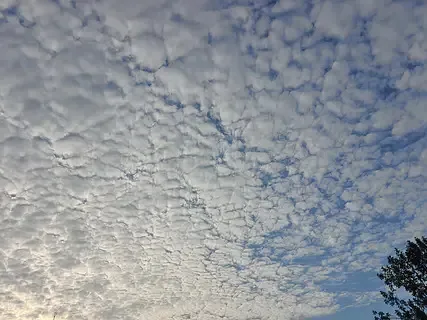 

Приемник Foxeer ELRS Lite 2.4G Nano с SMD-антенной для FPV-дронов и радиоуправляемых гоночных квадрокоптеров