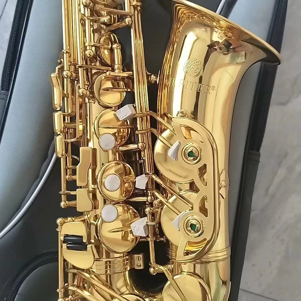 

Professional 500Q alto saxophone E-flat brass lacquered gold intrumemtos musicales Eb saxofón alto